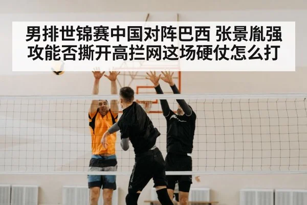 volleyball block net