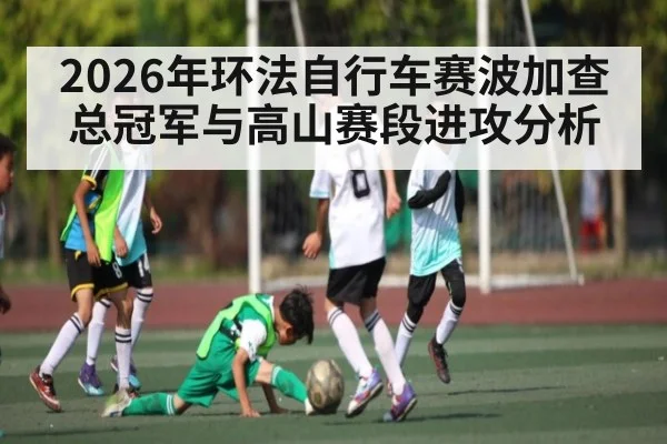 2026年环法自行车赛波加查总冠军与高山赛段进攻分析